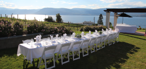 CedarCreek, Visa INfinate Dinner, winediva 2013 recap