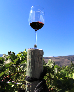 Tinhorn Creek Vineyards, Sandra Oldfield, Okanagan Valley, BC wine, Diamondback Vineyard, Black Sage Bench