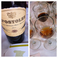 Gonzalez Byass sherry, winediva 2013 recap