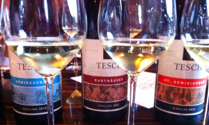 Tesch wines, Weingut Tesch, Martin Tesch, Riesling unplugged, Nahe, German wines