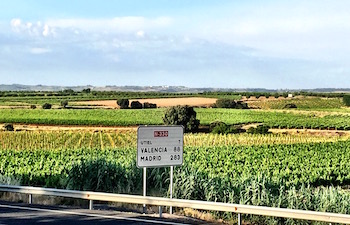 Bodega Mustiguillo, Toni Sarrion, Mestizaje, Merseguera, Bobal, Valencia, Utiel-Requena, El Terrerazo, Vino de Pago, Grandes Pagos de Espana, Quincha Corral, Finca Calvestra, Jose Vicente Salas Cardona.