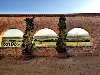 Bodega Mustiguillo, Toni Sarrion, Mestizaje, Merseguera, Bobal, Valencia, Utiel-Requena, El Terrerazo, Vino de Pago, Grandes Pagos de Espana, Quincha Corral, Finca Calvestra, Jose Vicente Salas Cardona.