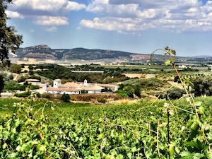 Cortijo Los Aguilares, Ronda, Malaga, Land of Vines, Roman, Bibi Garcia, Sierra de Las Nieves, Jose Itarte