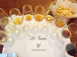 Valdespino, albariza soil, Groupo Estevez, Sherry, Palomino, Jerez, Andalucia, Moscatel, Pedro Ximenez, Macharnudo, pago, Grandes Pagos de Espana,