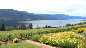 Arrowleaf, Zuppiger family, Lake Country, Kelowna, The Kitchen