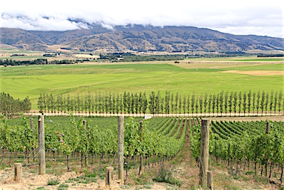 Central Otago, Quartz Reef, Bannokburn, Peregrine, Rudi Bauer, Mt. Difficulty