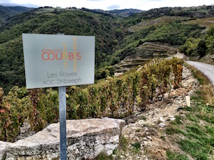 Northern Rhone, Cornas, Saint-Peray, Saint-Joseph, Hermitage, Tain l'Hermitage, Le Tournesol, Jaboulet, Delas, Clape, Alaine Voge