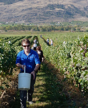 Glenn Fawcett, Nota Bene, BLack Hills Estate Winery, Graham Pierce